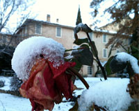 Hiver