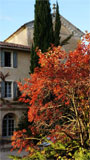 Automne