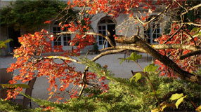 Automne