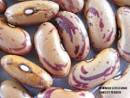 Recette